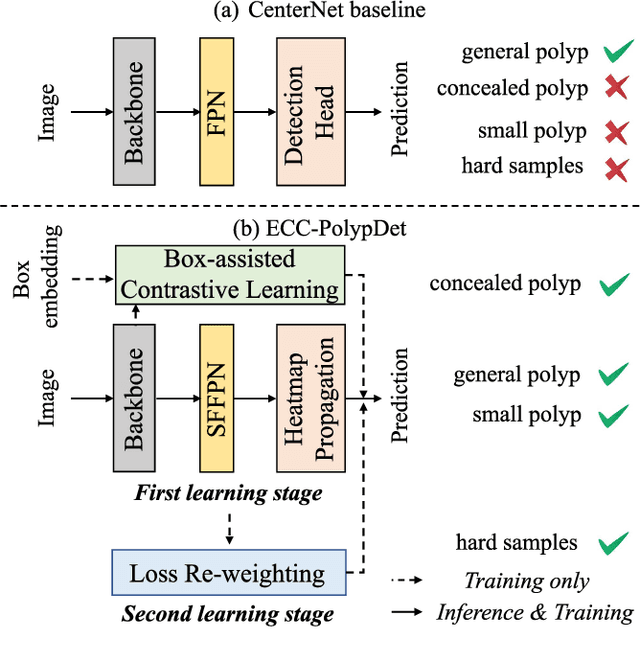 Figure 1 for ECC-PolypDet: Enhanced CenterNet with Contrastive Learning for Automatic Polyp Detection