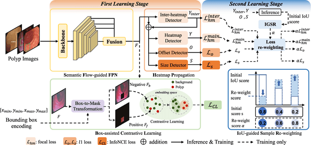 Figure 3 for ECC-PolypDet: Enhanced CenterNet with Contrastive Learning for Automatic Polyp Detection