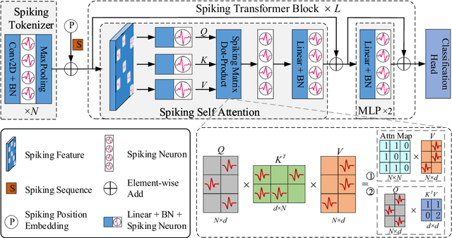 Figure 2 for Direct Training High-Performance Deep Spiking Neural Networks: A Review of Theories and Methods