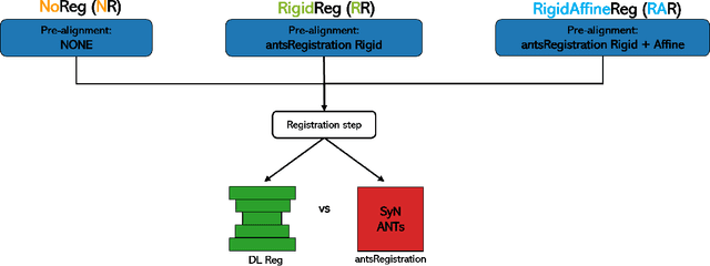 Figure 1 for Impact of Initialization on Intra-subject Pediatric Brain MR Image Registration: A Comparative Analysis between SyN ANTs and Deep Learning-Based Approaches