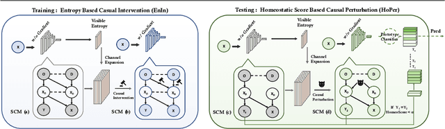 Figure 1 for Mixstyle-Entropy: Domain Generalization with Causal Intervention and Perturbation