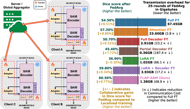 Figure 1 for A Federated Learning-Friendly Approach for Parameter-Efficient Fine-Tuning of SAM in 3D Segmentation