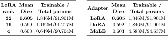 Figure 4 for A Federated Learning-Friendly Approach for Parameter-Efficient Fine-Tuning of SAM in 3D Segmentation