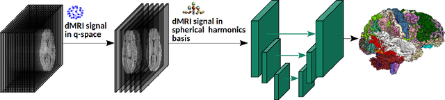 Figure 1 for Direct segmentation of brain white matter tracts in diffusion MRI