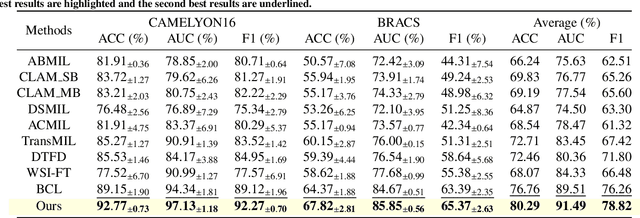 Figure 4 for Task-oriented Embedding Counts: Heuristic Clustering-driven Feature Fine-tuning for Whole Slide Image Classification