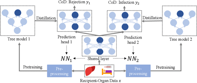 Figure 1 for Multi-Task Learning for Post-transplant Cause of Death Analysis: A Case Study on Liver Transplant