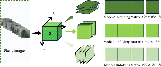 Figure 3 for Enhancing Plant Disease Detection: A Novel CNN-Based Approach with Tensor Subspace Learning and HOWSVD-MD