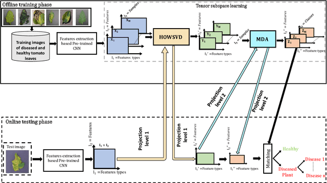 Figure 4 for Enhancing Plant Disease Detection: A Novel CNN-Based Approach with Tensor Subspace Learning and HOWSVD-MD