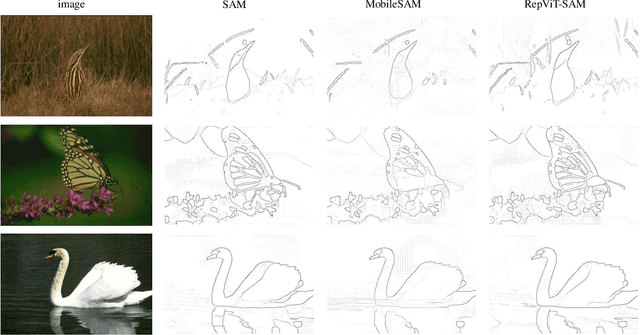 Figure 4 for RepViT-SAM: Towards Real-Time Segmenting Anything