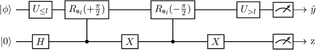 Figure 1 for Efficient Gradient Estimation of Variational Quantum Circuits with Lie Algebraic Symmetries