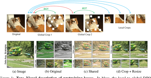 Figure 2 for You Don't Need Data-Augmentation in Self-Supervised Learning