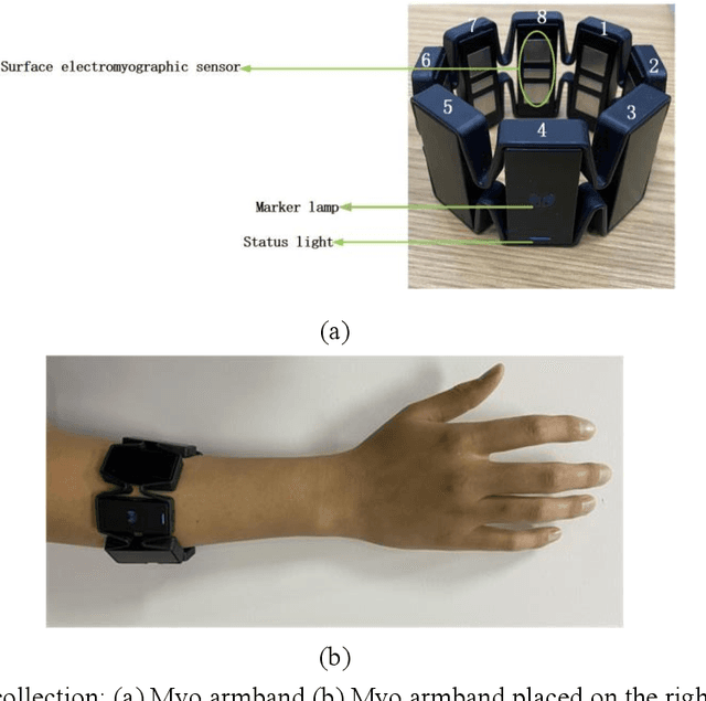 Figure 2 for Research on gesture recognition method based on SEDCNN-SVM