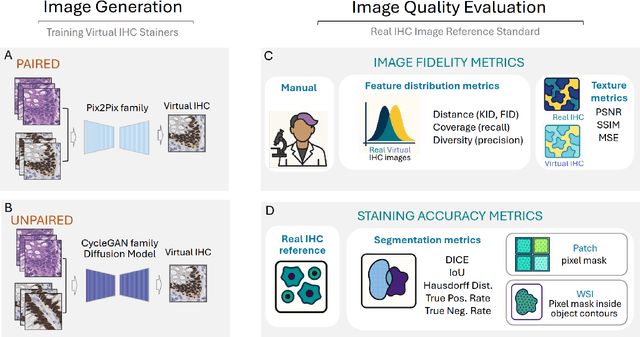 Figure 1 for Building Trust in Virtual Immunohistochemistry: Automated Assessment of Image Quality