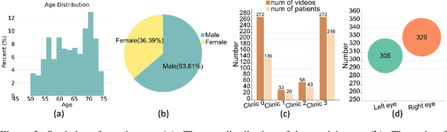 Figure 4 for RVD: A Handheld Device-Based Fundus Video Dataset for Retinal Vessel Segmentation