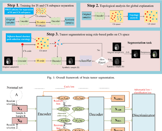 Figure 1 for A Weakly Supervised and Globally Explainable Learning Framework for Brain Tumor Segmentation