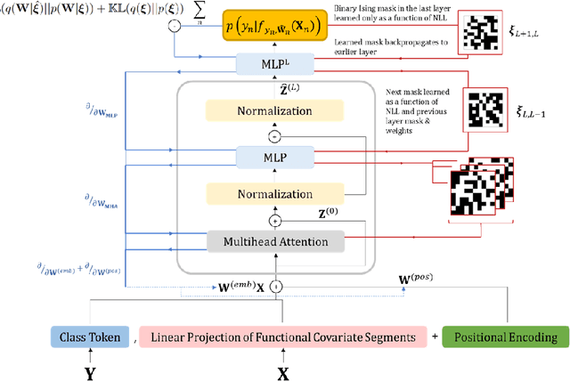 Figure 3 for Likelihood-guided Regularization in Attention Based Models