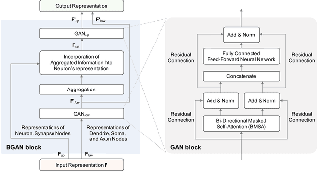 Figure 2 for Network Representation Learning for Biophysical Neural Network Analysis