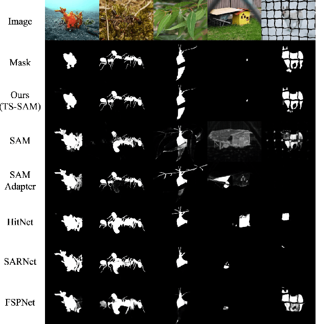 Figure 1 for TS-SAM: Fine-Tuning Segment-Anything Model for Downstream Tasks