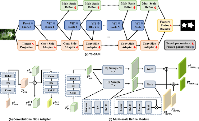 Figure 2 for TS-SAM: Fine-Tuning Segment-Anything Model for Downstream Tasks