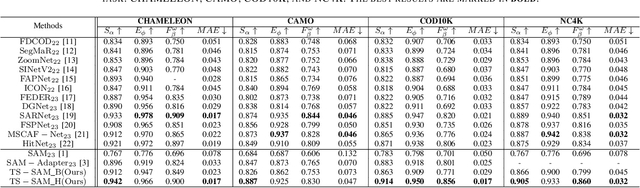 Figure 4 for TS-SAM: Fine-Tuning Segment-Anything Model for Downstream Tasks