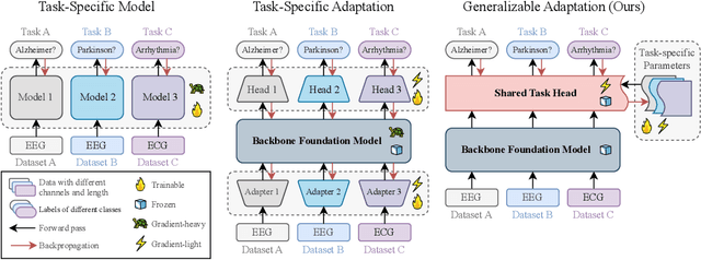 Figure 1 for Repurposing Foundation Model for Generalizable Medical Time Series Classification