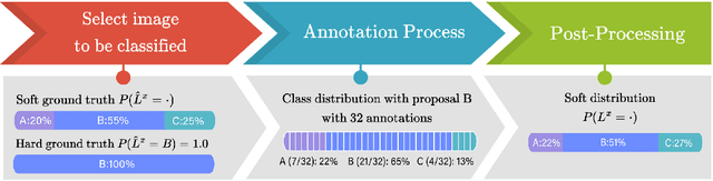 Figure 1 for Annotating Ambiguous Images: General Annotation Strategy for Image Classification with Real-World Biomedical Validation on Vertebral Fracture Diagnosis