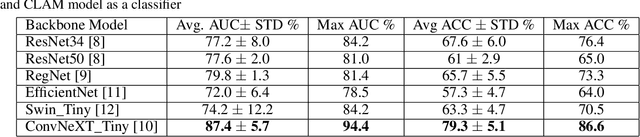 Figure 2 for Classification and Morphological Analysis of DLBCL Subtypes in H\&E-Stained Slides