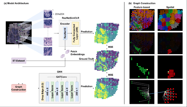 Figure 3 for MERGE: Multi-faceted Hierarchical Graph-based GNN for Gene Expression Prediction from Whole Slide Histopathology Images