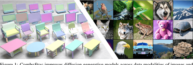 Figure 1 for ComboStoc: Combinatorial Stochasticity for Diffusion Generative Models