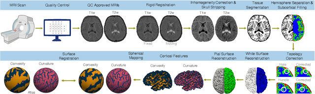 Figure 1 for Reconstruction of Cortical Surfaces with Spherical Topology from Infant Brain MRI via Recurrent Deformation Learning