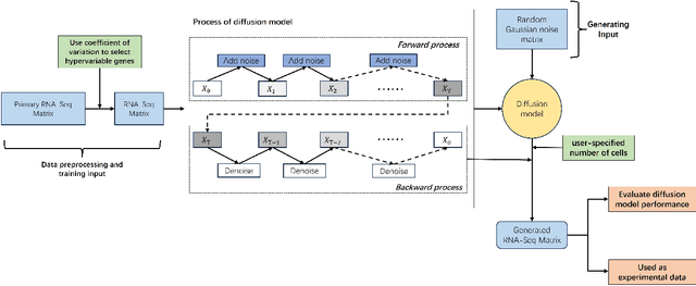 Figure 1 for scRDiT: Generating single-cell RNA-seq data by diffusion transformers and accelerating sampling