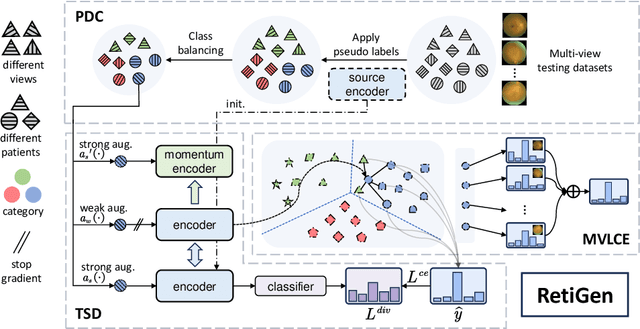 Figure 3 for RetiGen: A Framework for Generalized Retinal Diagnosis Using Multi-View Fundus Images