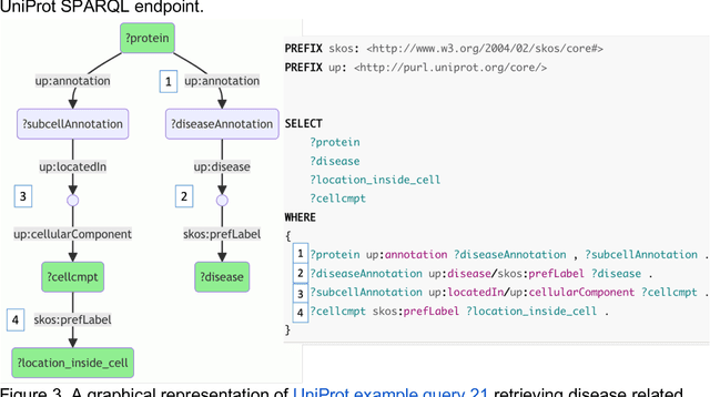 Figure 3 for A large collection of bioinformatics question-query pairs over federated knowledge graphs: methodology and applications