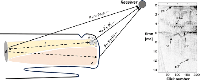 Figure 4 for Detecting the presence of sperm whales echolocation clicks in noisy environments