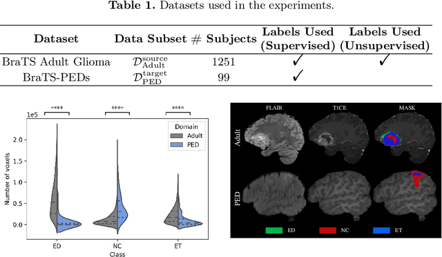 Figure 2 for Unsupervised Domain Adaptation for Pediatric Brain Tumor Segmentation