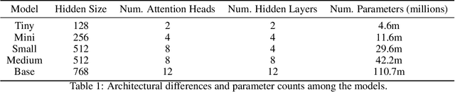 Figure 1 for Developing and Evaluating Tiny to Medium-Sized Turkish BERT Models