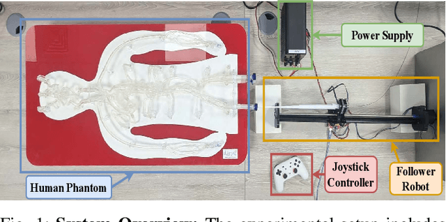 Figure 1 for SplineFormer: An Explainable Transformer-Based Approach for Autonomous Endovascular Navigation