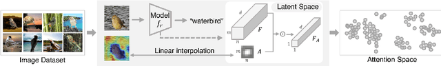 Figure 4 for SLIM: Spuriousness Mitigation with Minimal Human Annotations