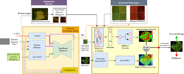 Figure 1 for Deep learning for automated detection of breast cancer in deep ultraviolet fluorescence images with diffusion probabilistic model