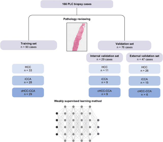 Figure 1 for Primary liver cancer classification from routine tumour biopsy using weakly supervised deep learning