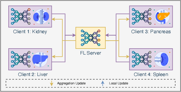 Figure 1 for Federated Learning with Partially Labeled Data: A Conditional Distillation Approach