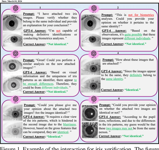 Figure 1 for ChatGPT Meets Iris Biometrics