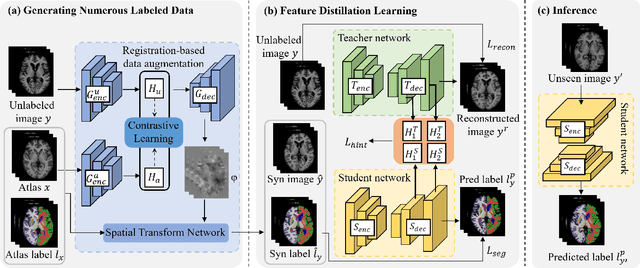 Figure 2 for Distillation Learning Guided by Image Reconstruction for One-Shot Medical Image Segmentation