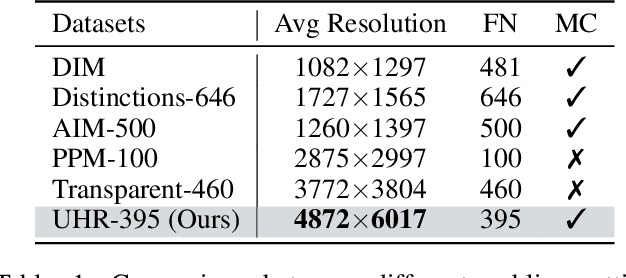 Figure 2 for Memory Efficient Matting with Adaptive Token Routing