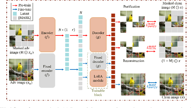 Figure 2 for Adversarial Masked Autoencoder Purifier with Defense Transferability