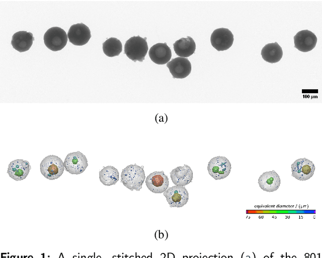 Figure 1 for Attenuation-adjusted deep learning of pore defects in 2D radiographs of additive manufacturing powders