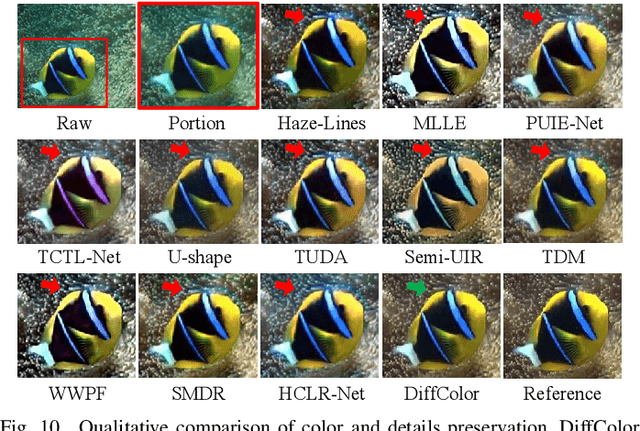 Figure 2 for Color Correction Meets Cross-Spectral Refinement: A Distribution-Aware Diffusion for Underwater Image Restoration