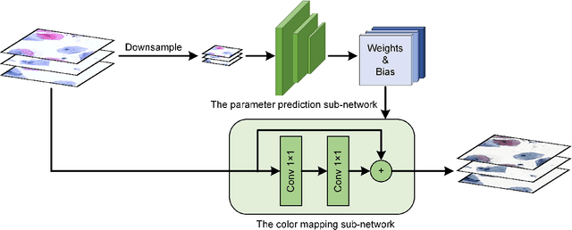 Figure 1 for ParamNet: A Parameter-variable Network for Fast Stain Normalization