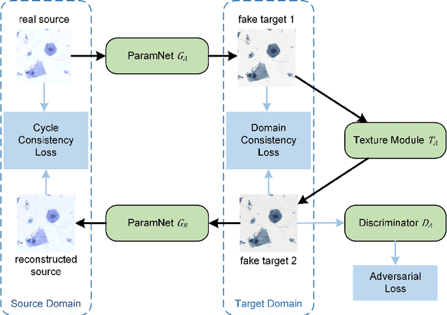 Figure 2 for ParamNet: A Parameter-variable Network for Fast Stain Normalization