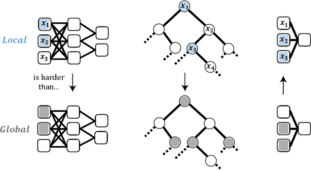 Figure 1 for Local vs. Global Interpretability: A Computational Complexity Perspective